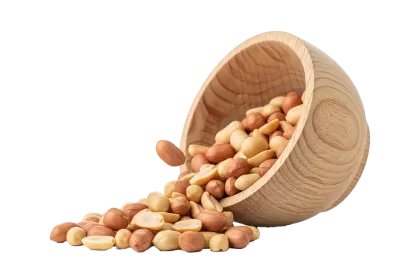 Imagen PNG para descargar